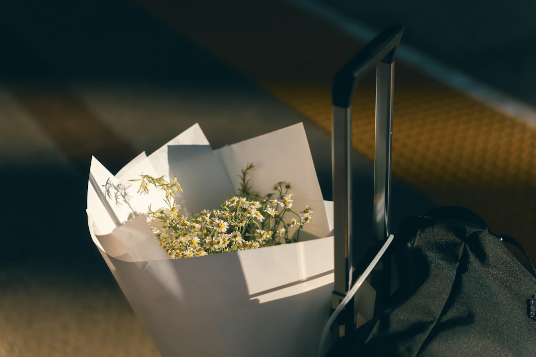 blog_6
